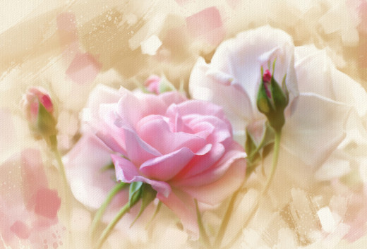 851042 (a): :3300x2235